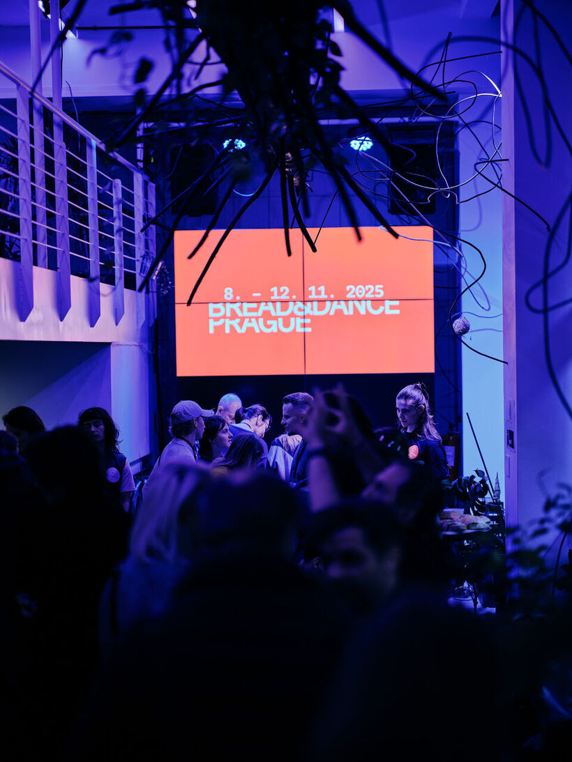 Networking Breakfast. Bread and Dance. Foto: archiv festivalu.